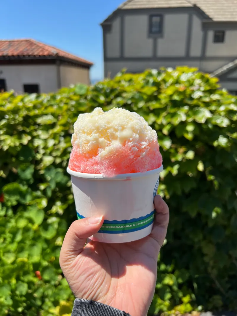 Tropical taste shave ice with snow cap at a Bay Area event