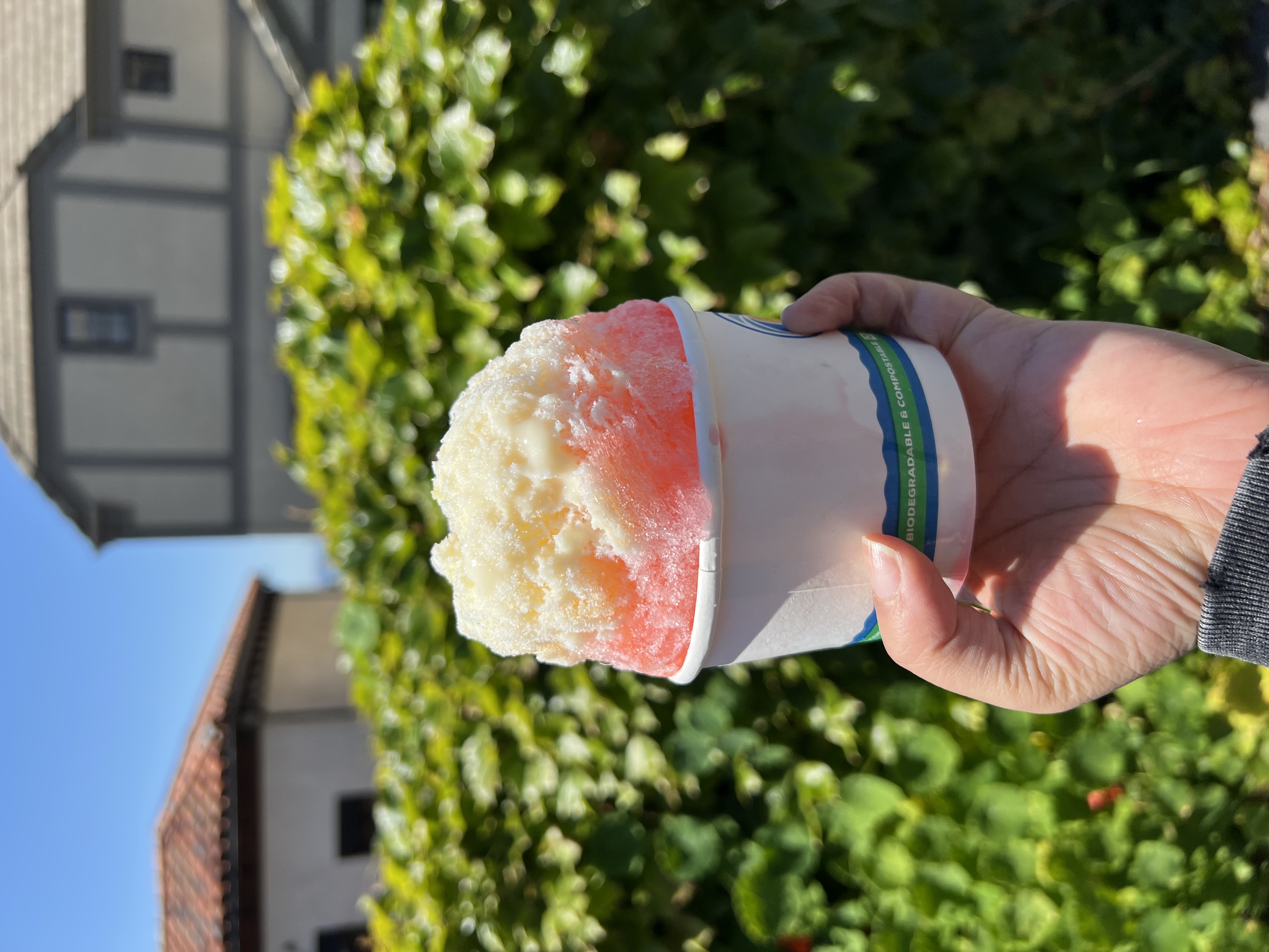 Tropical tastes shave ice